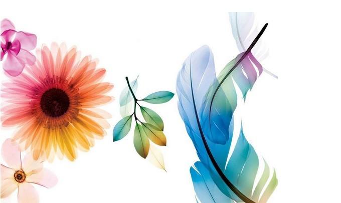 絲網(wǎng)印刷的工藝概要